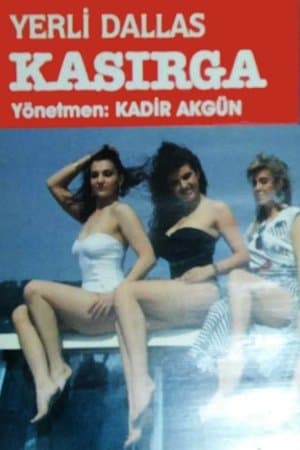 Local Dallas: Cashier Yerli Dallas: Kasırga