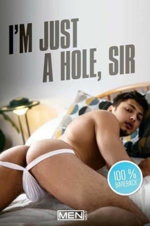 I'm Just A Hole, Sir I'm Just A Hole, Sir
