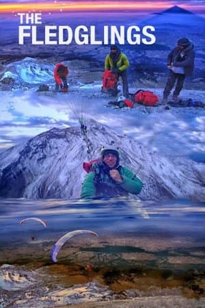 The Fledglings The Fledglings