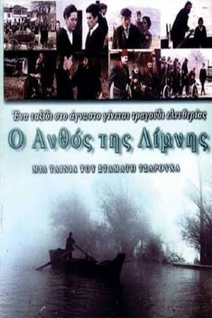 The Flower of the Lake Ο ανθός της λίμνης