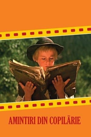 Memories of My Childhood Amintiri din copilărie