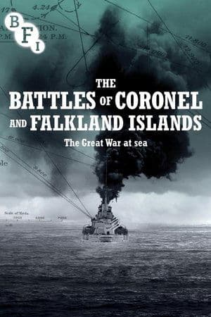 The Battles of Coronel and Falkland Islands The Battles of Coronel and Falkland Islands
