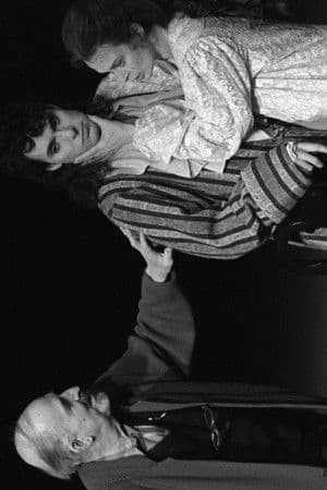 Men and Bergman Männen och Bergman