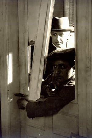 The Spider's Prey Rovedderkoppen