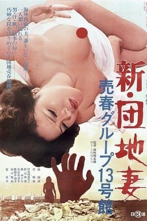 New Apartment Wife: Prostitution in Building #13 新・団地妻 売春グループ13号館
