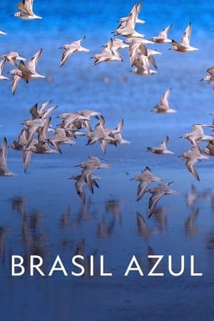 Blue Brazil Brasil Azul