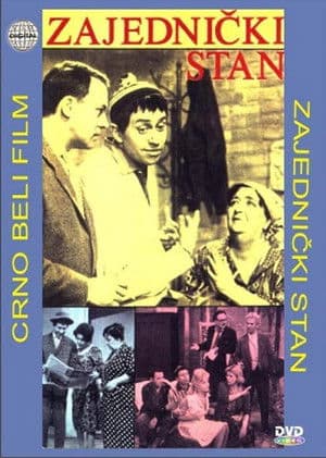 Shared Apartment Zajednički stan