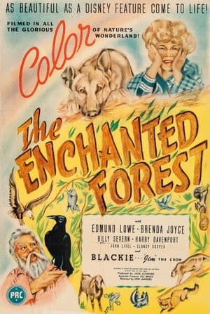 The Enchanted Forest The Enchanted Forest