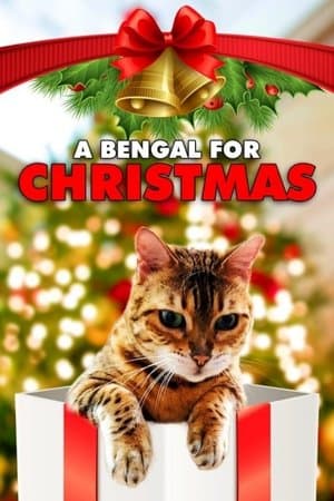 A Bengal for Christmas A Bengal for Christmas