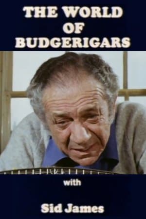 The World of Budgerigars The World of Budgerigars