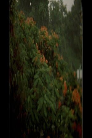 A Fortress Une Forteresse