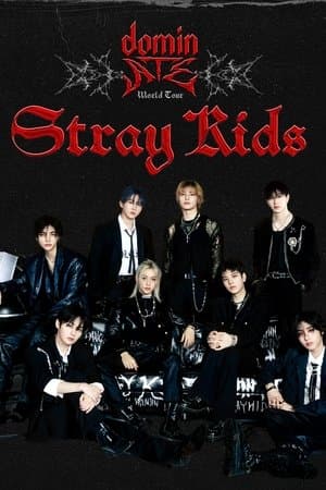 Beyond Live — Stray Kids World Tour dominATE in SEOUL