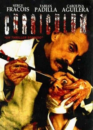 Curriculum Curriculum