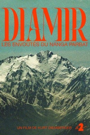 Diamir - Les Envoûtés du Nanga Parbat