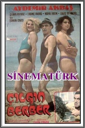 Çılgın Berber Çılgın Berber