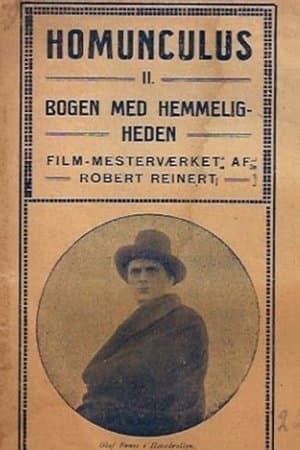 The Mysterious Book Homunculus, 2. Teil: Das geheimnisvolle Buch