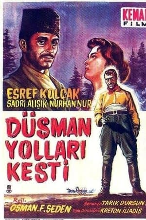The Enemy Cut down the Ways Düşman Yolları Kesti