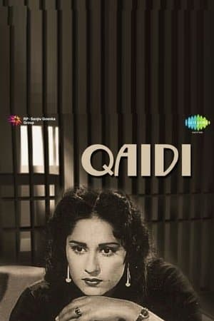 Qaidi Qaidi