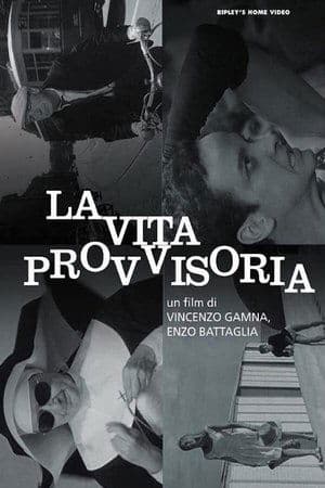 La vita provvisoria La vita provvisoria