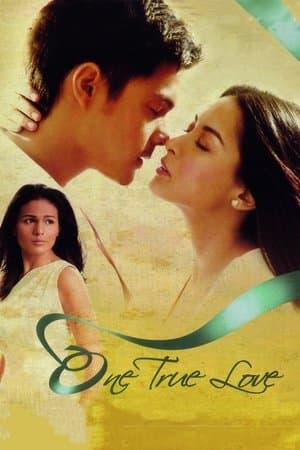 One True Love One True Love