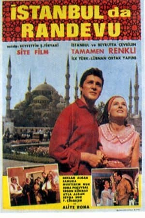 Love in Istanbul İstanbul'da Randevu
