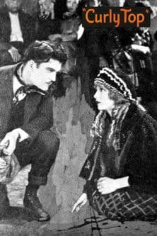 Curlytop Curlytop