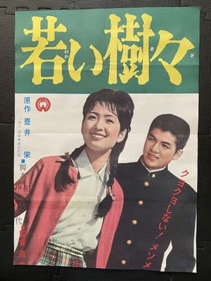 Young Trees 若い樹々