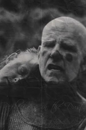 Reflections in the Dust Reflections in the Dust