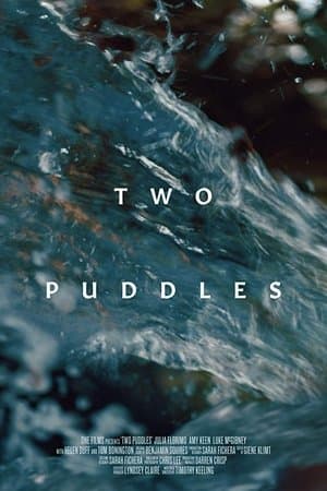 Two Puddles Two Puddles
