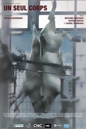 A Single Body Un seul corps