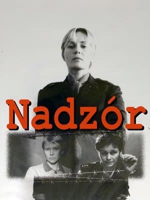 Nadzór