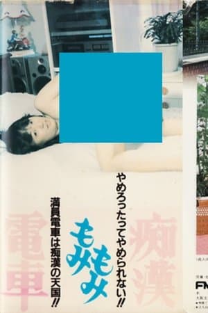 Molester Groping Train 痴漢もみもみ電車