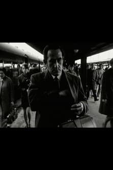 The City of No The City of No