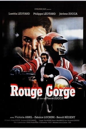 Rouge-gorge Rouge-gorge