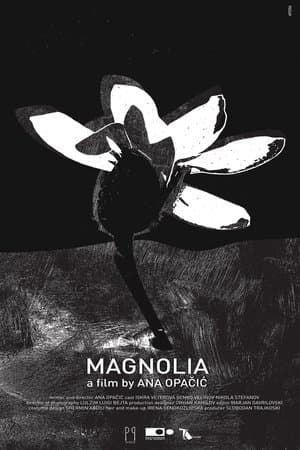 Magnolia Магнолија