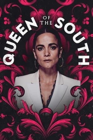 Queen of the South Queen of the South
