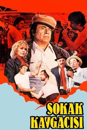 Sokak Kavgacısı Sokak Kavgacısı