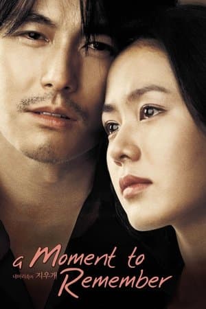 A Moment to Remember 내 머리 속의 지우개
