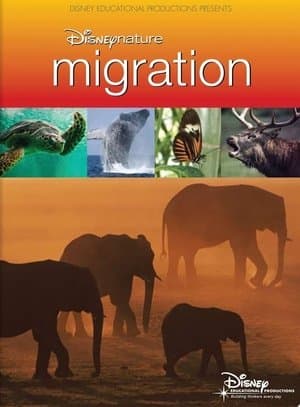 Disneynature: Migration Disneynature: Migration