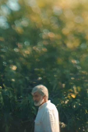 Baku Diaries 3: Memory Bakılının gündəliyi - 3: Yadigar