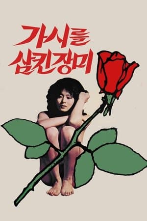 가시를 삼킨 장미
