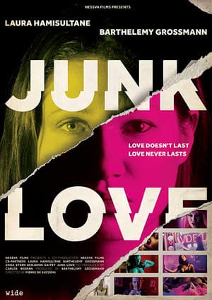 Junk Love Junk Love