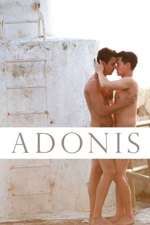 Thirty Years of Adonis 三十儿立