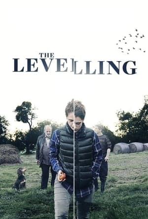 The Levelling The Levelling
