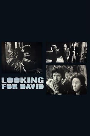 Looking for David