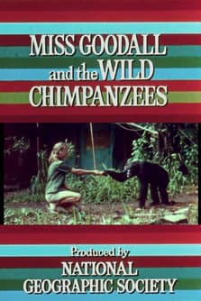 Miss Goodall and the Wild Chimpanzees Miss Goodall and the Wild Chimpanzees