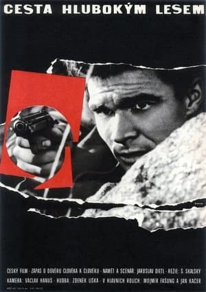 Passing Through a Thick Forest Cesta hlubokým lesem