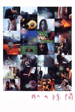 A Gap in the Skin 肌の隙間