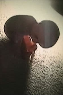 Der Puppenschänder 2 Der Puppenschänder 2