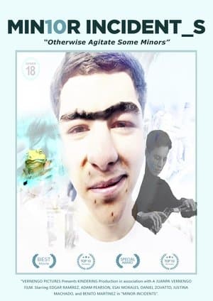 Minor Incidents Incidentes Menores